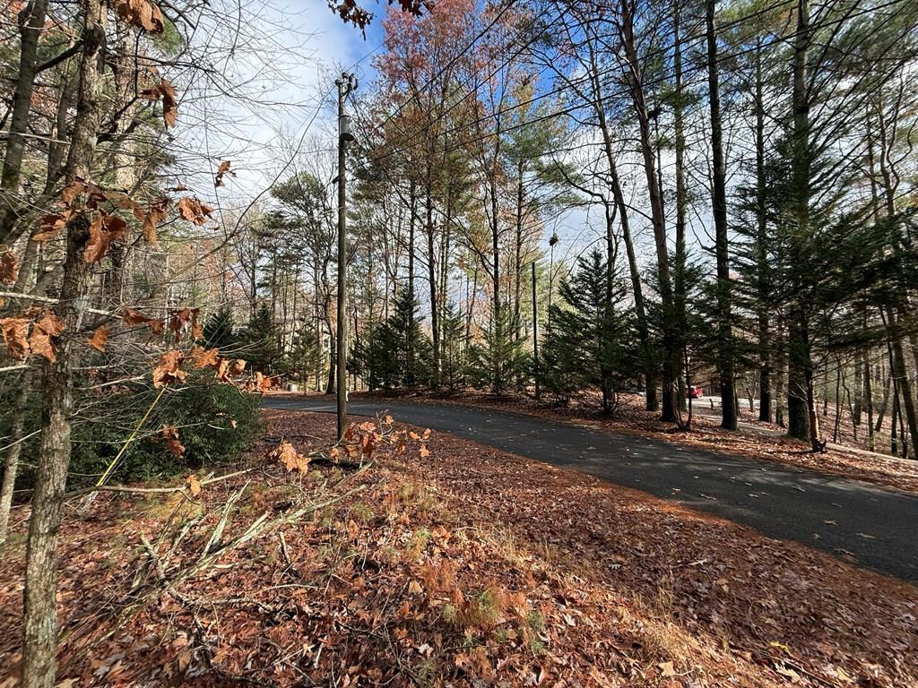 Lot 235 Toccoa Court