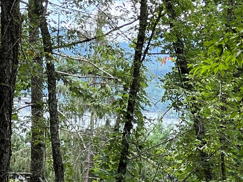 PC 1 Buena Vista Drive