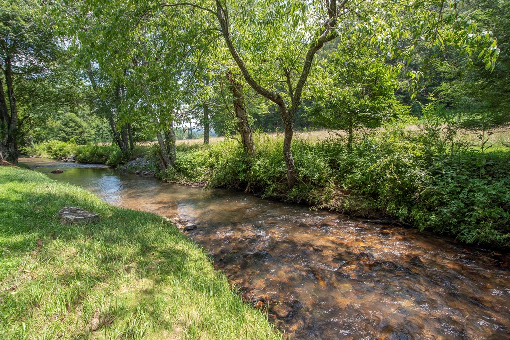 41 Pine Trail
