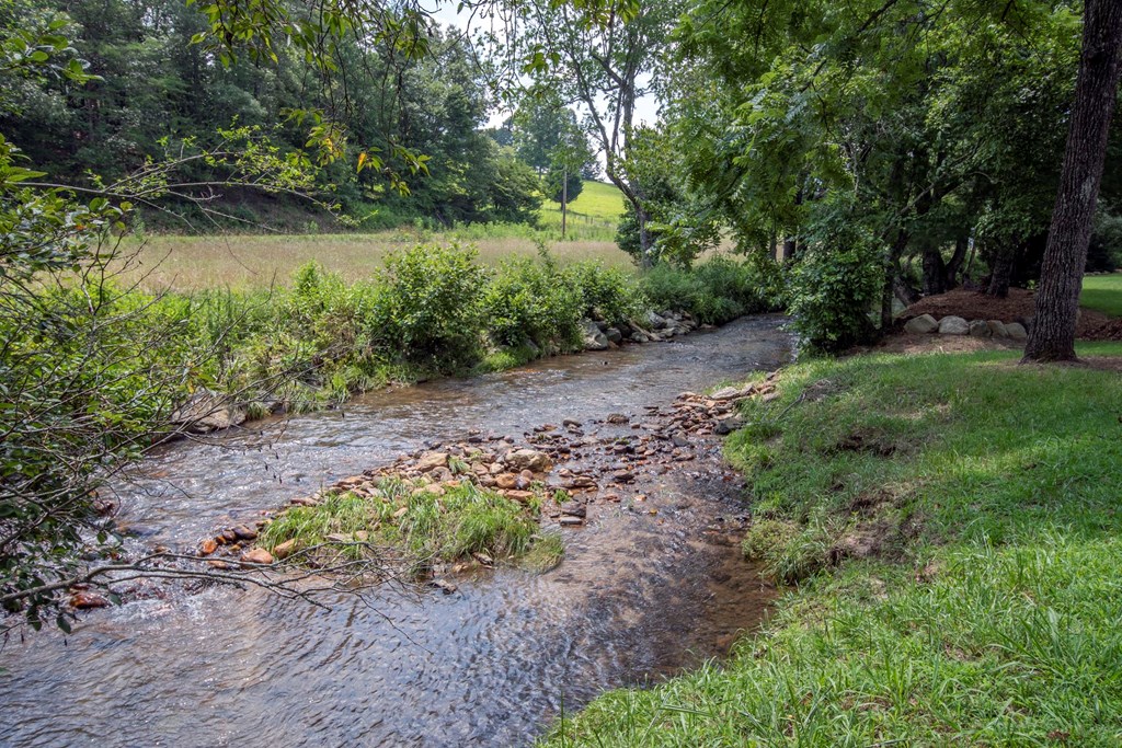 41 Pine Trail