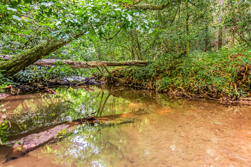 416 Millstone Mountain