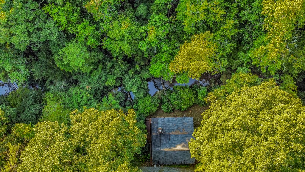 416 Millstone Mountain