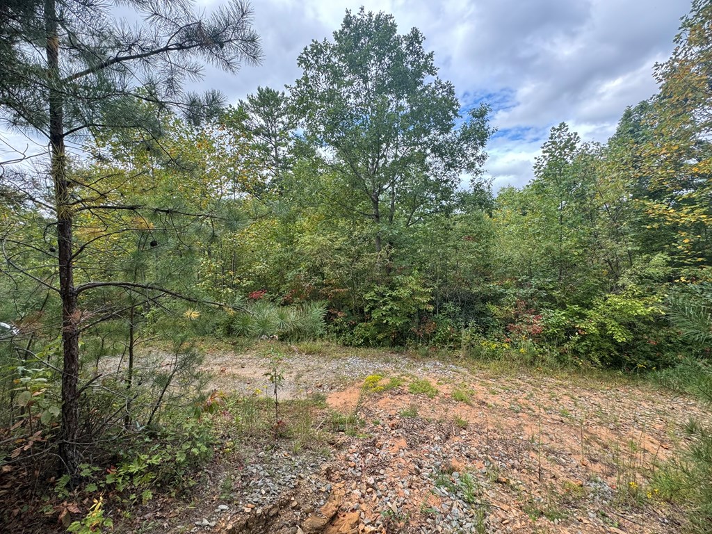 Lot 67 Mason Creek Lane