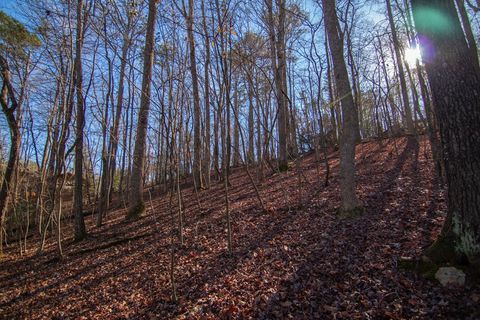 A home in Ellijay