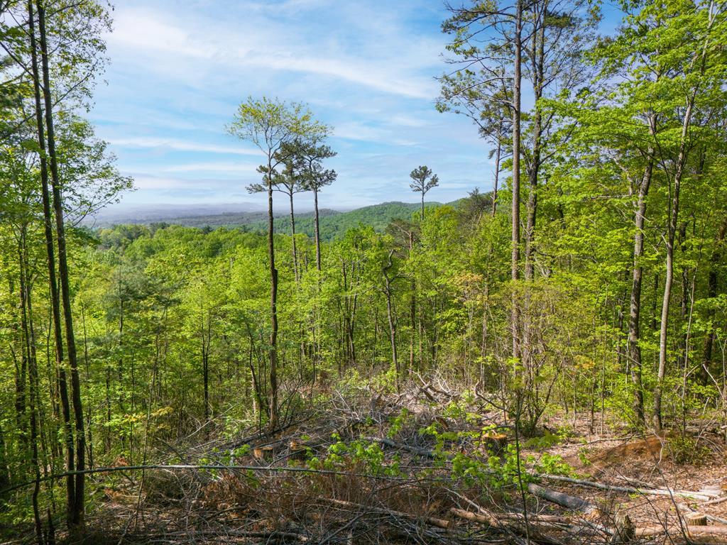 Lot 73 Mountain View Road