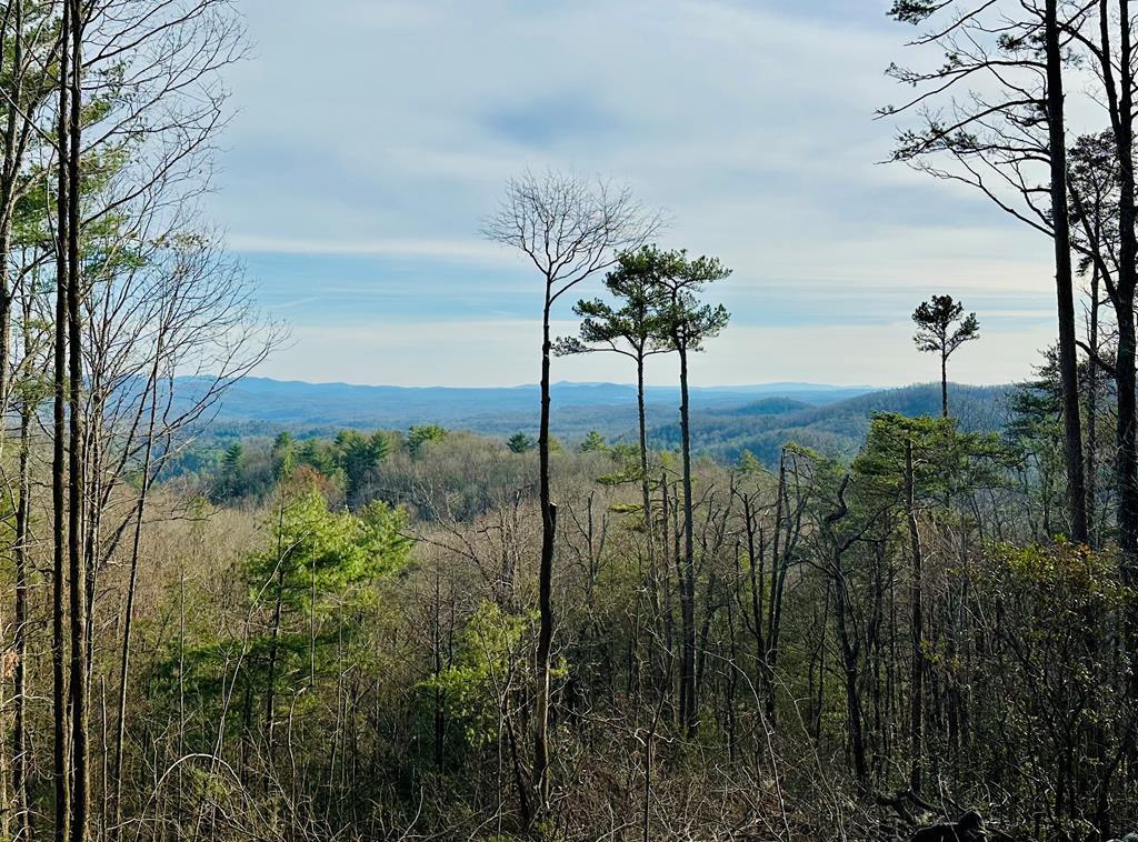 Lot 73 Mountain View Road
