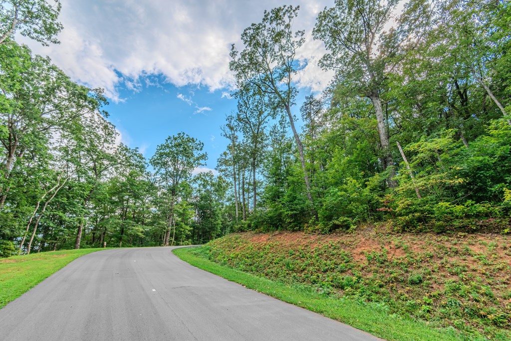Lot 219 Stone Cliff Drive