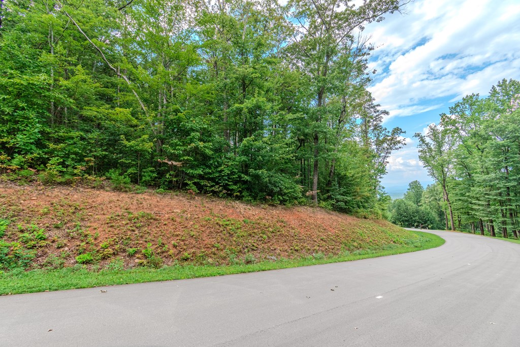 Lot 219 Stone Cliff Drive