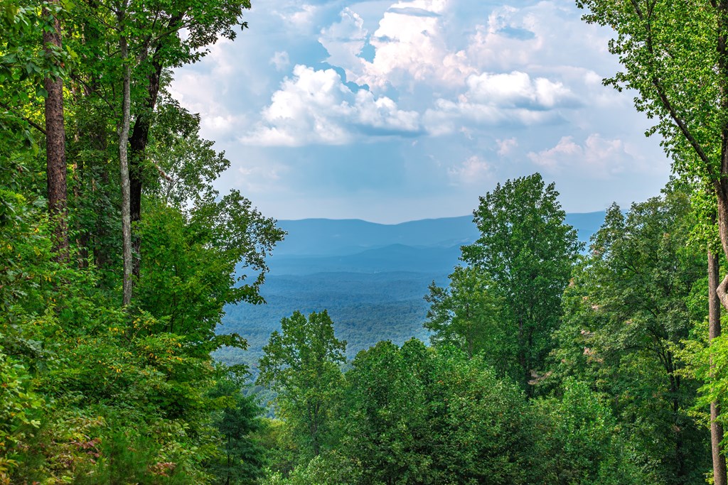 Lot 219 Stone Cliff Drive