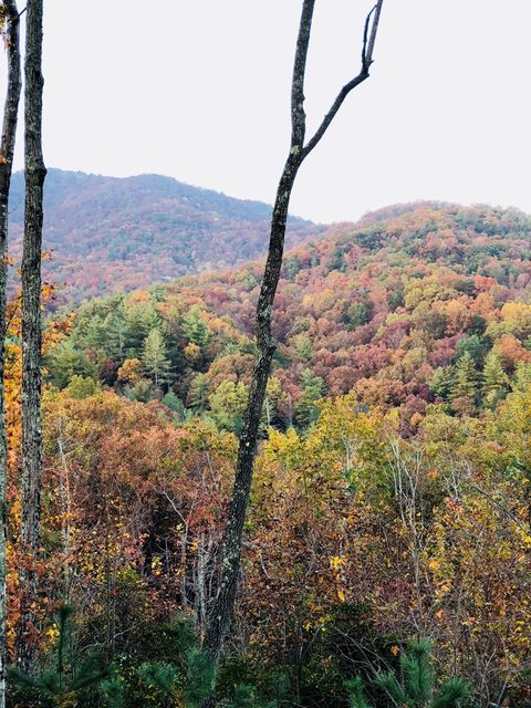 A home in Ellijay