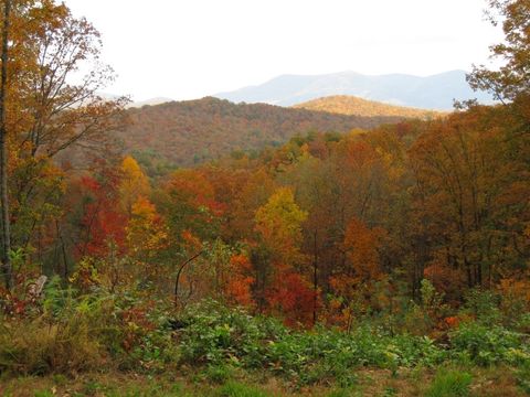 A home in Ellijay