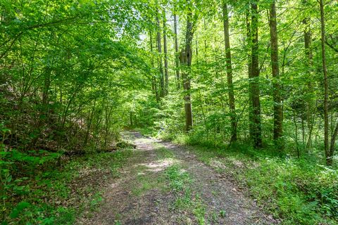 A home in Ellijay