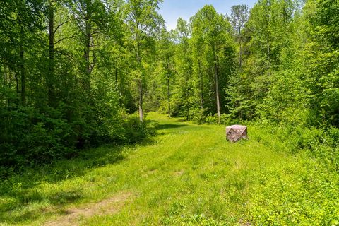 A home in Ellijay