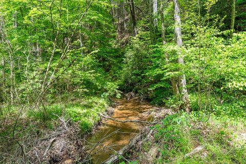 A home in Ellijay