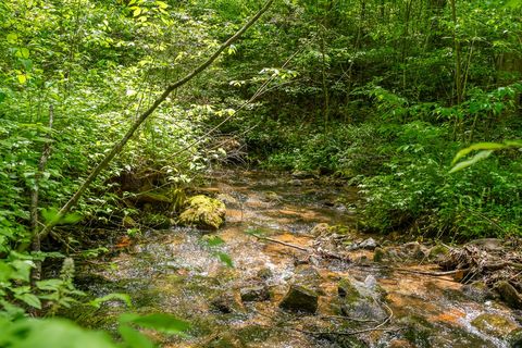 A home in Ellijay