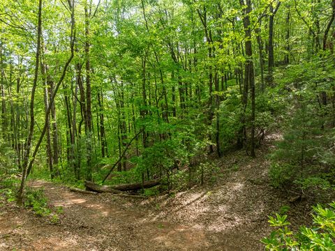 A home in Ellijay