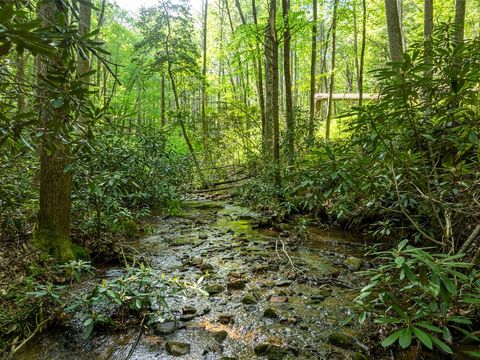 A home in Ellijay