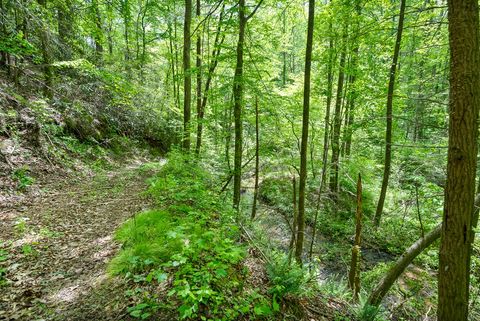 A home in Ellijay