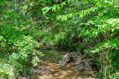 A home in Ellijay