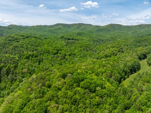 A home in Ellijay