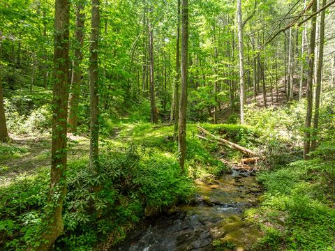 A home in Ellijay