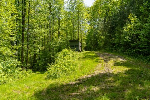 A home in Ellijay