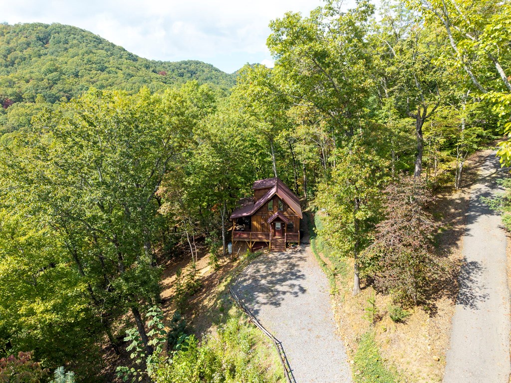 205 Copper Mountain Drive