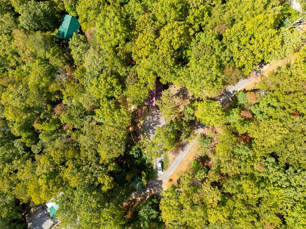 205 Copper Mountain Drive