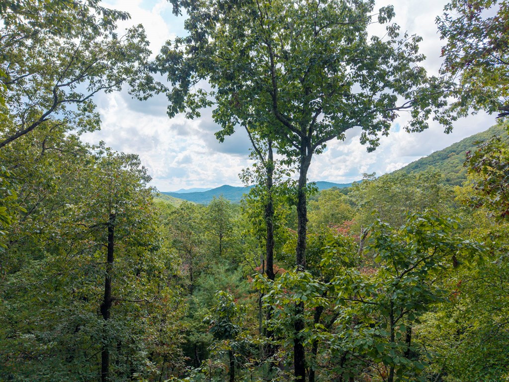 205 Copper Mountain Drive