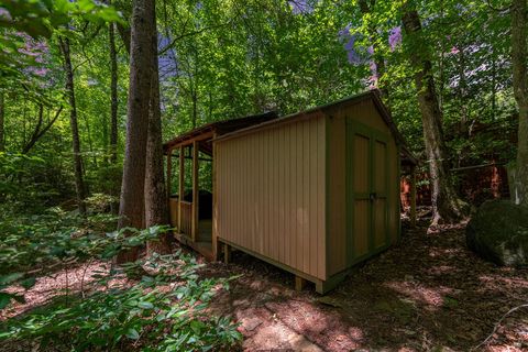 A home in Blue Ridge