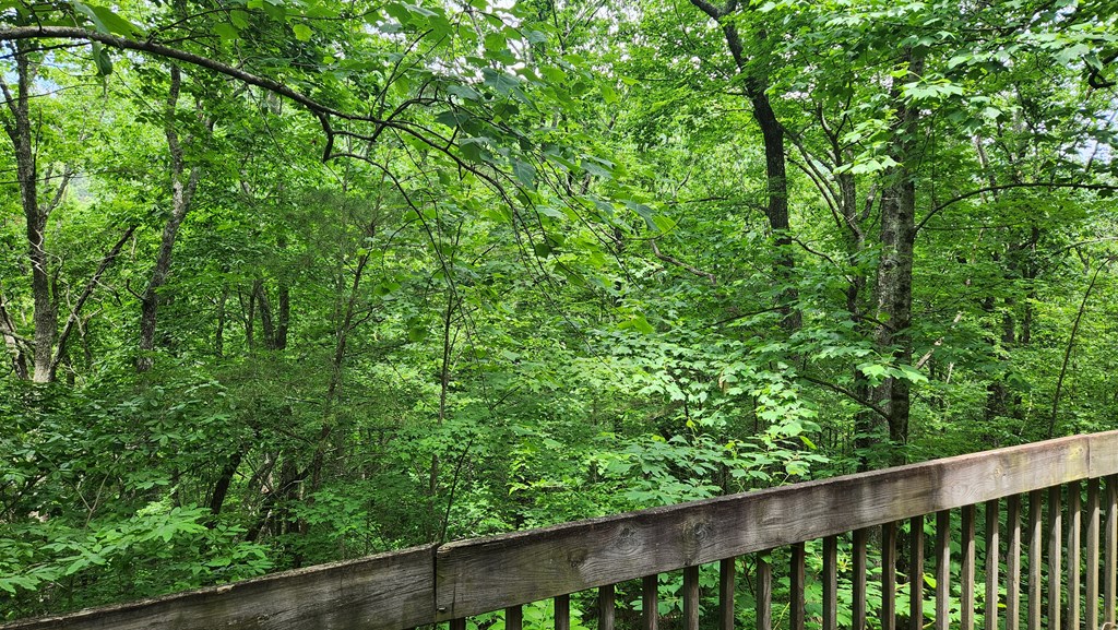 18 Sassafras Ridge Road