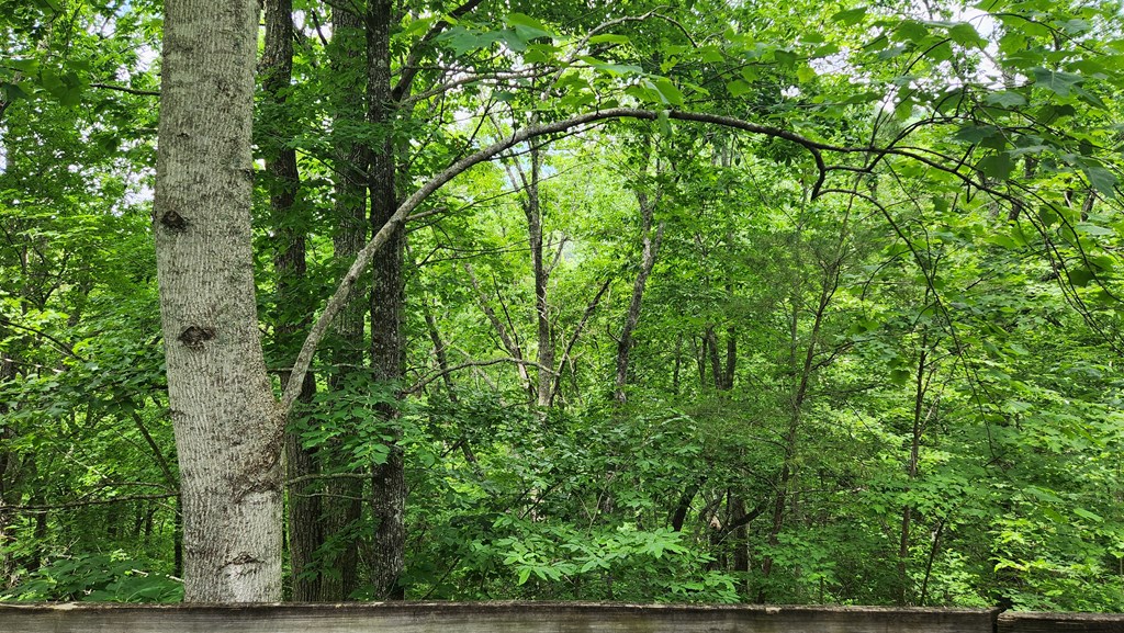 18 Sassafras Ridge Road