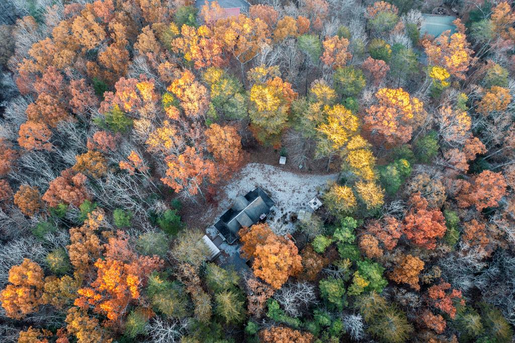 48 Timber Ridge Road