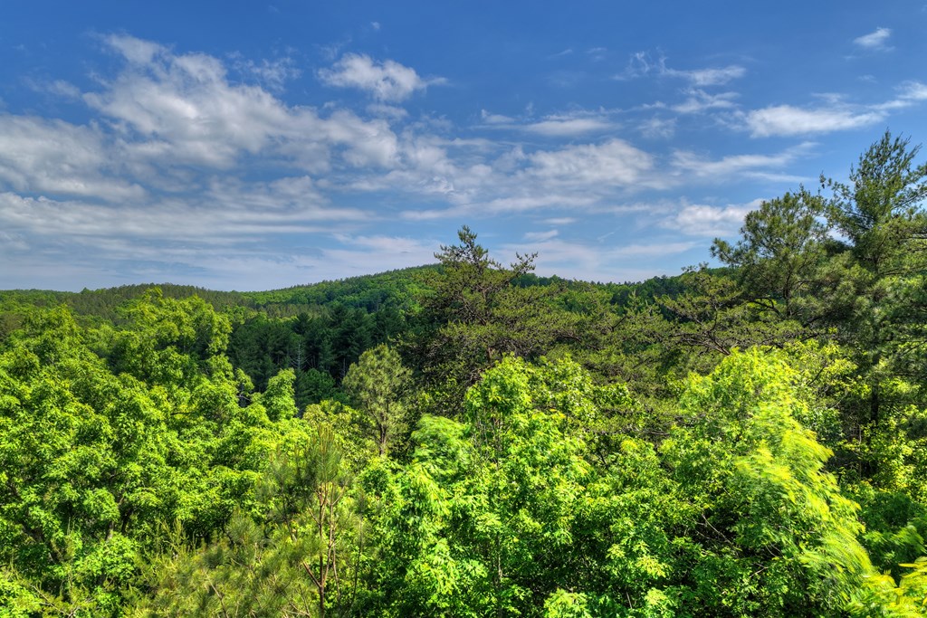 Lot 106 Mountain Creek Hollow Drive