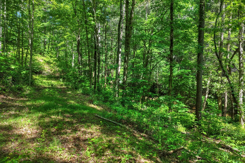 Lot 106 Mountain Creek Hollow Drive