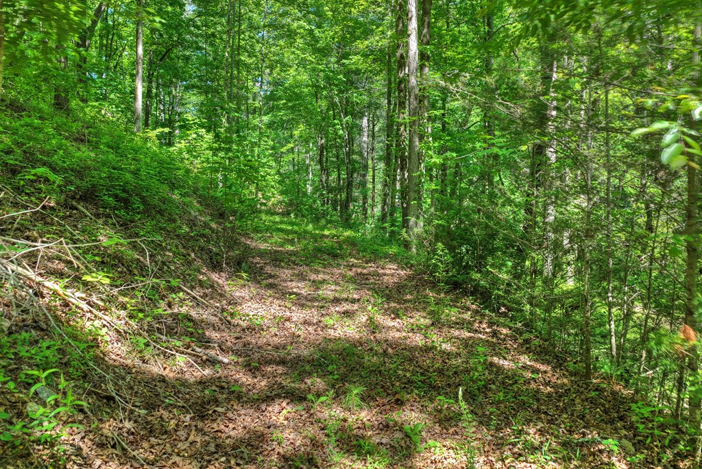 Lot 106 Mountain Creek Hollow Drive