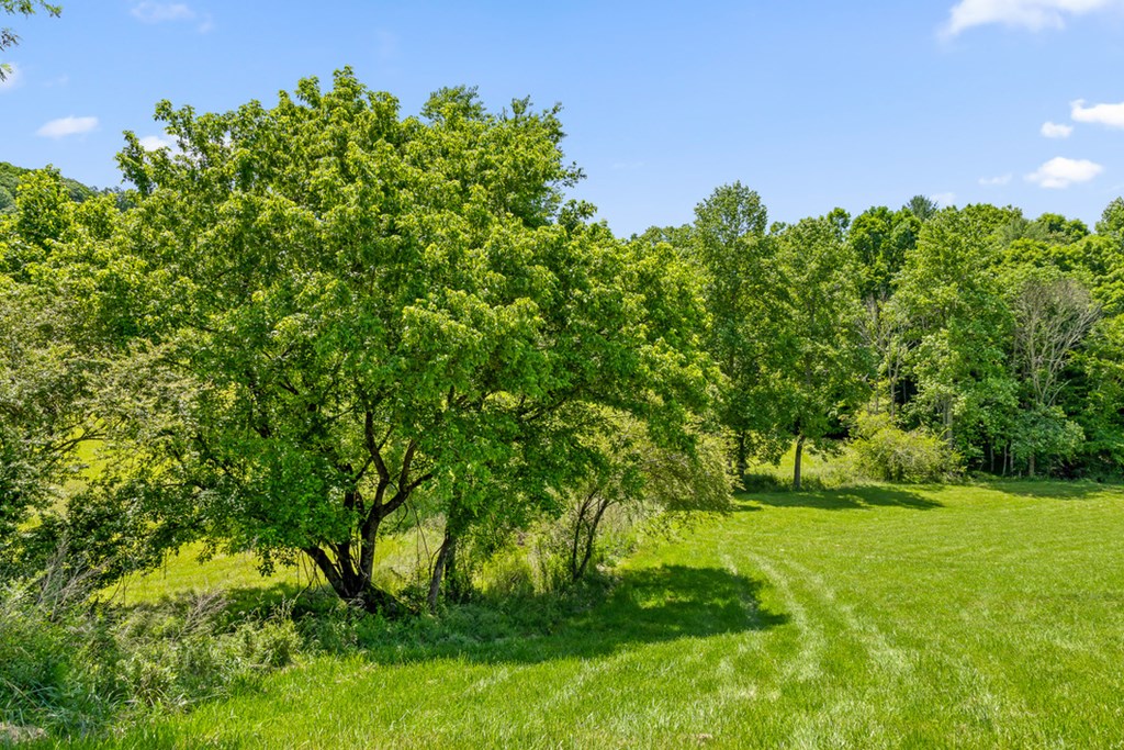 Lot 12 Squirrel Hunt Road