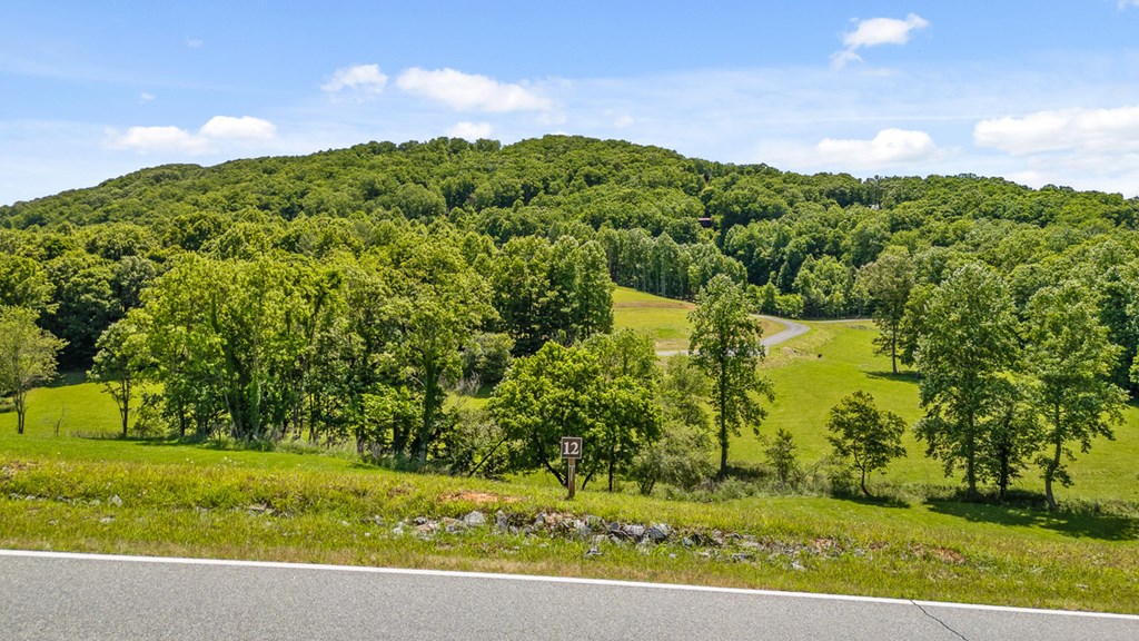 Lot 12 Squirrel Hunt Road