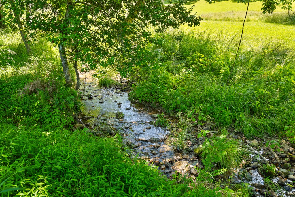 Lot 12 Squirrel Hunt Road