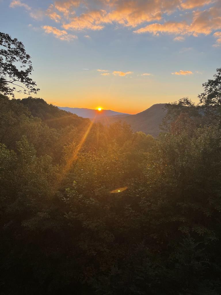7031 Black Bear Trail