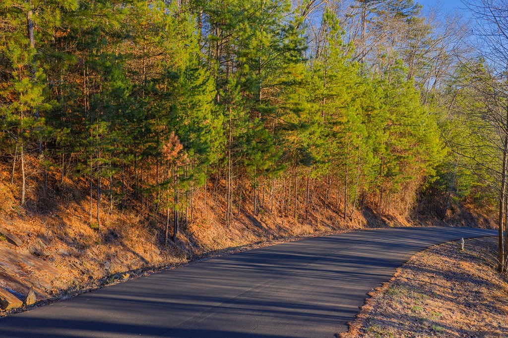 Lot 157 Roaring Forks Lane