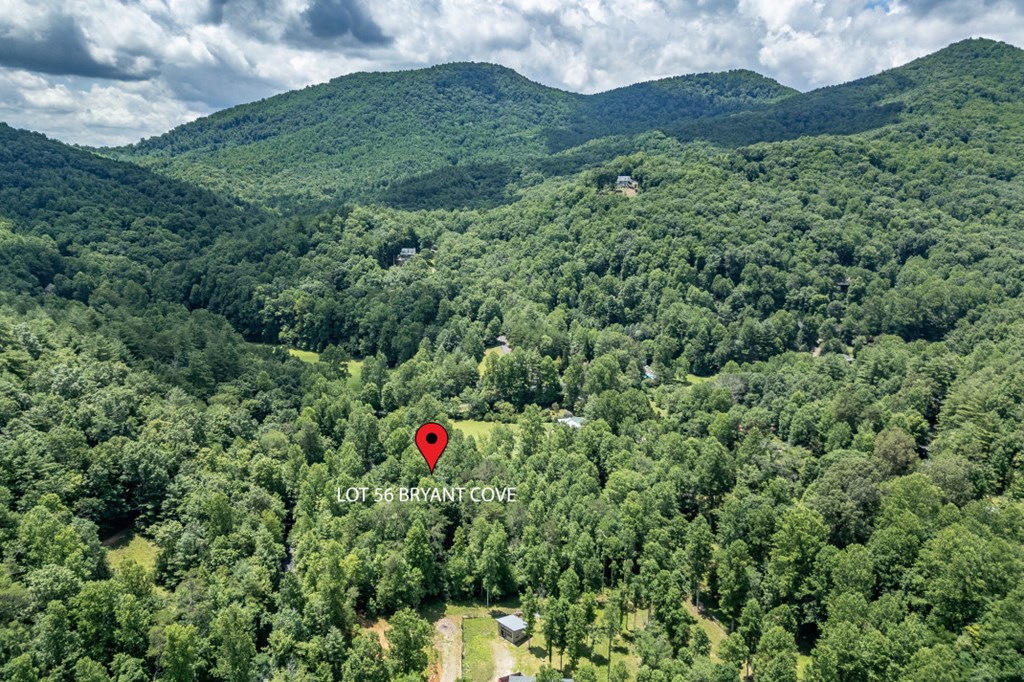 Lot 56 Bryant Cove S/D