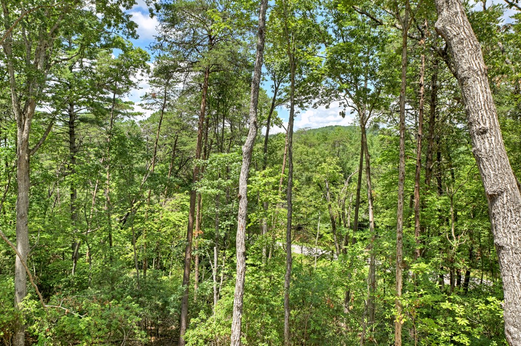 58 Whitetail Hollow