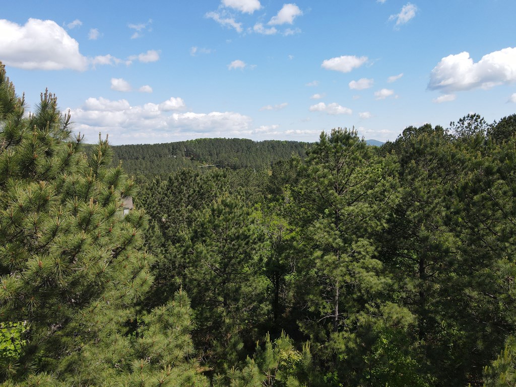 Lot 379 Marshall Rise Road