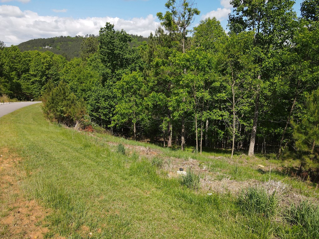 Lot 379 Marshall Rise Road