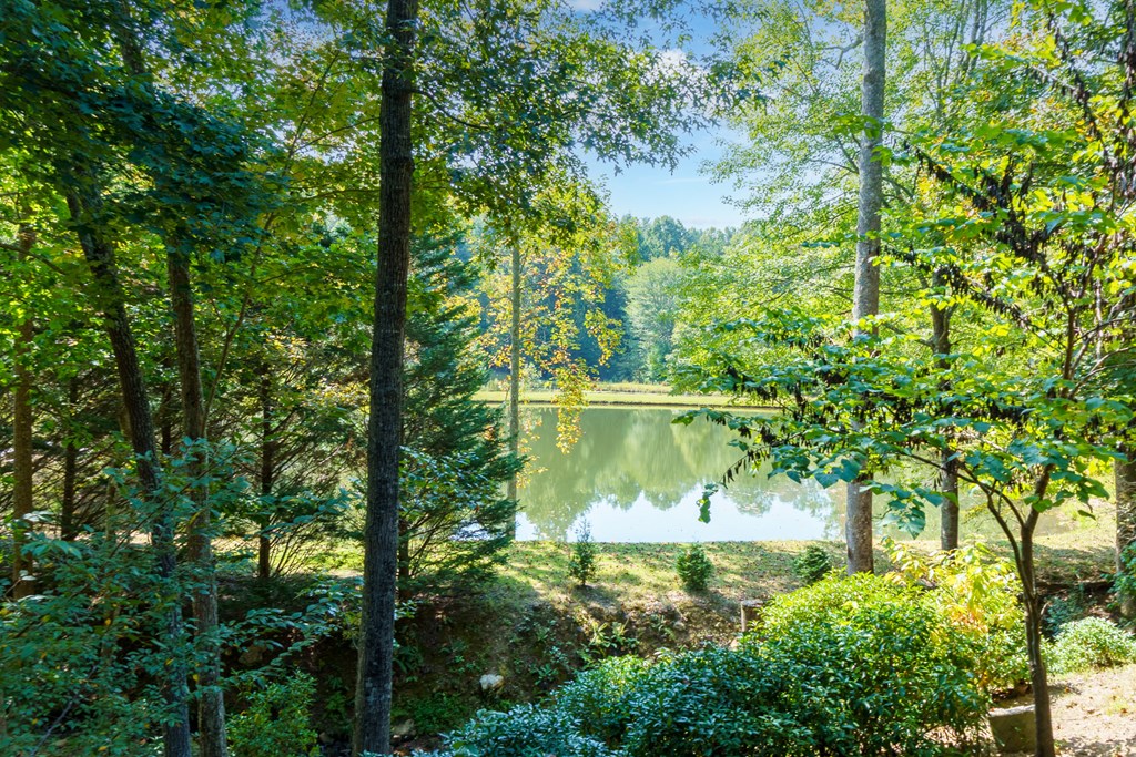 35 Wunder Bear Ridge Road