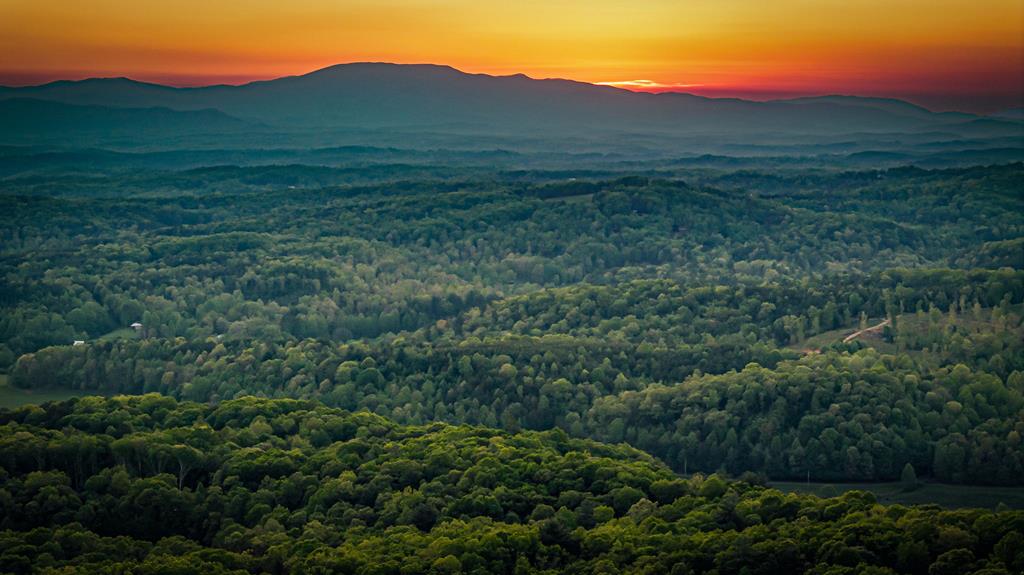 60 Jackie's Bluff