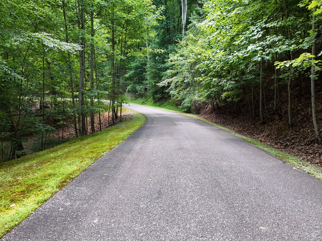Lot 71 Chicory Drive W