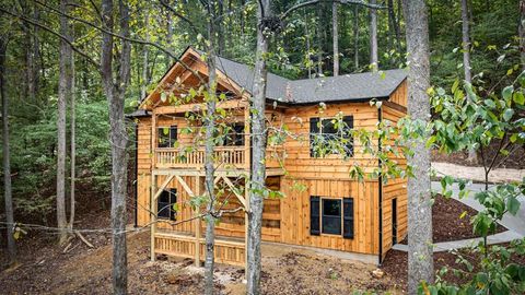 821 Navaho Way Ellijay GA 30540