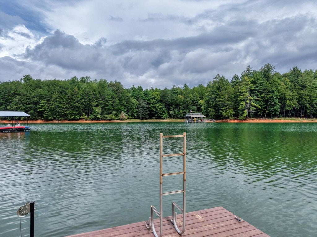 Blairsville, Georgia, 30512, United States, 4 Bedrooms Bedrooms, ,4 BathroomsBathrooms,Residential,Active,2029708